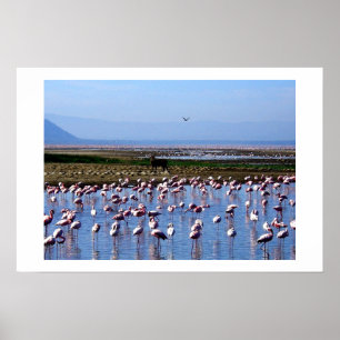 FLAMINGOS AM SEE WATERSCAPE IN KENIA POSTER