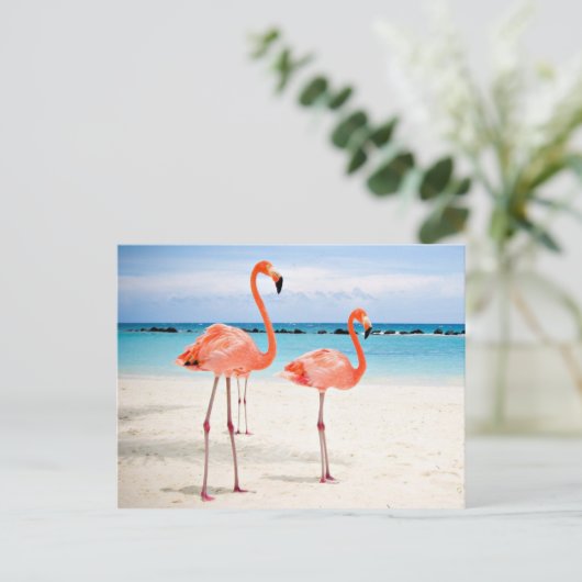 Flamingos am Strand Postkarte (Stehend Vorderseite)
