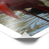 Flamingos am Wasser von Linda Becker Fotodruck (Ecke)