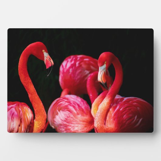Flamingos Art Decor Fotoplatte (Vorderseite)