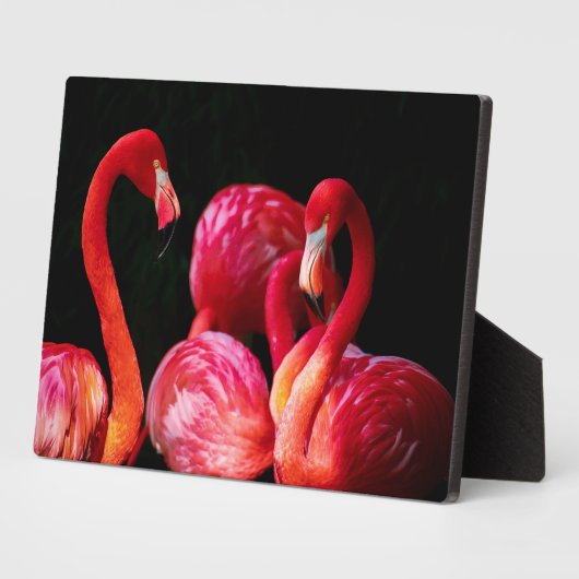 Flamingos Art Decor Fotoplatte (Seite)