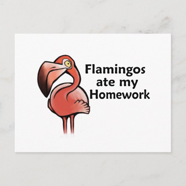 Flamingos aß meine Hausaufgaben Postkarte (Vorderseite)