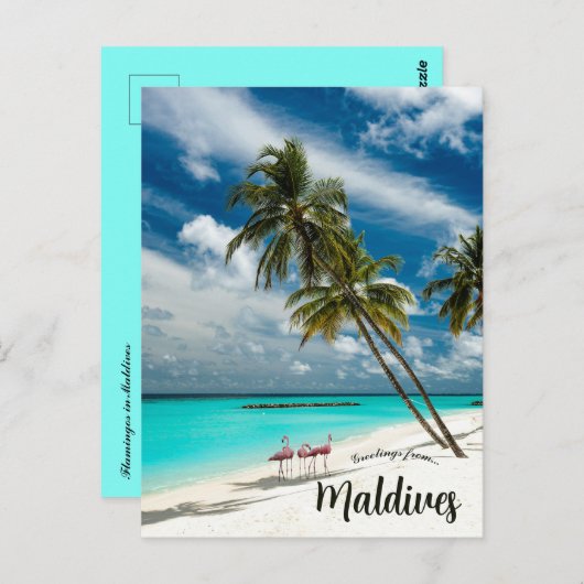 Flamingos auf den Malediven Postkarte (Vorne/Hinten)