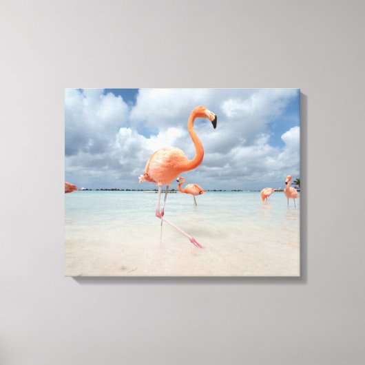 Flamingos Beach Aruba Leinwanddruck (Vorderseite)