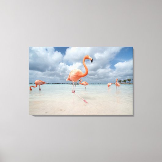 Flamingos Beach Aruba Leinwanddruck (Vorderseite)