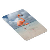 Flamingos Beach Aruba Magnet (Rechte Seite)