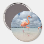 Flamingos Beach Aruba Magnet (Vorderseite/Rückseite)
