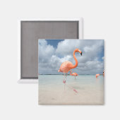 Flamingos Beach Aruba Magnet (Vorderseite/Rückseite)
