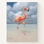 Flamingos Beach Aruba Notizblock (Rückseite)