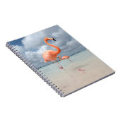 Flamingos Beach Aruba Notizblock (Rechte Seite)
