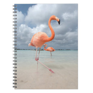 Flamingos Beach Aruba Notizblock