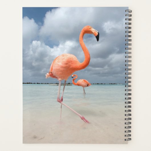 Flamingos Beach Aruba Planer (Rückseite)