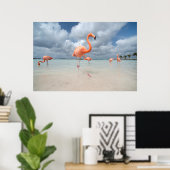 Flamingos Beach Aruba Poster (Heimbüro)