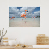 Flamingos Beach Aruba Poster (Küche)