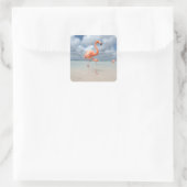 Flamingos Beach Aruba Quadratischer Aufkleber (Tasche)