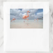 Flamingos Beach Aruba Rechteckiger Aufkleber (Tasche)