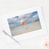 Flamingos Beach Aruba Rechteckiger Aufkleber (Umschlag)