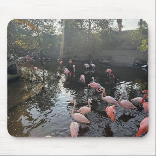 Flamingos bei Sonnenaufgang Mauspad