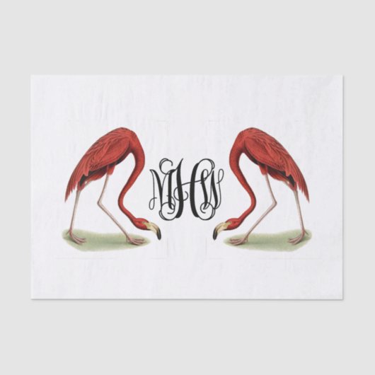 Flamingos Black Vine Script Monogram DIY BG Seidenpapier (Vorderseite)