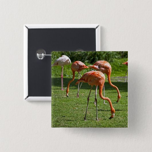 Flamingos Button (Vorne & Hinten)