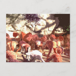 Flamingos - Das ist jetzt rosa! (Cartoon Cutout) Postkarte