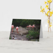 "Flamingos & Duck" Dankeschön Karte (Gelbe Blume)