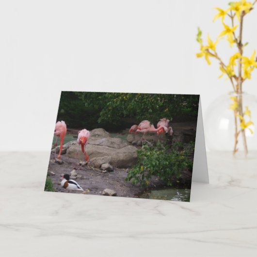 "Flamingos & Duck" Dankeschön Karte (Gelbe Blume)