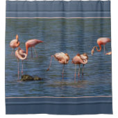 Flamingos Duschvorhang (Vorderseite)