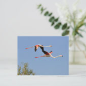 Flamingos Feiertagspostkarte (Stehend Vorderseite)
