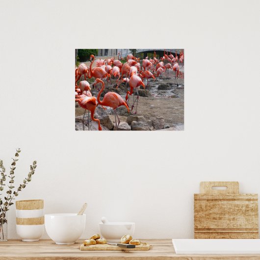 Flamingos Flamingoes Pink Wading Birds Poster (Küche)