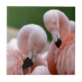 Flamingos Fliese (Vorderseite)
