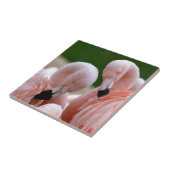 Flamingos Fliese (Seite)