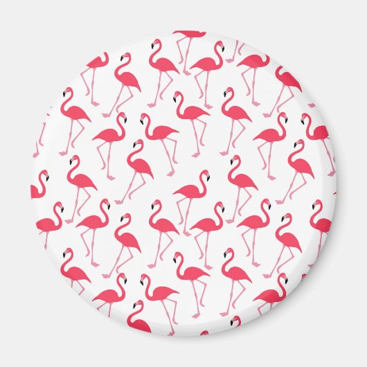 Flamingos Flimingos Magnet (Vorne)