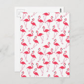 Flamingos Flimingos Postkarte (Vorne/Hinten)