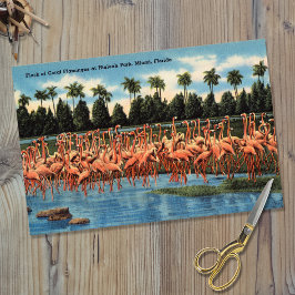 Flamingos-Flock im Hialeah Park Miami Fl Seidenpapier