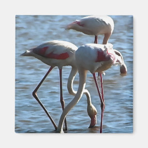 Flamingos Fütternd Zeit Akryllische Malerei Magnet