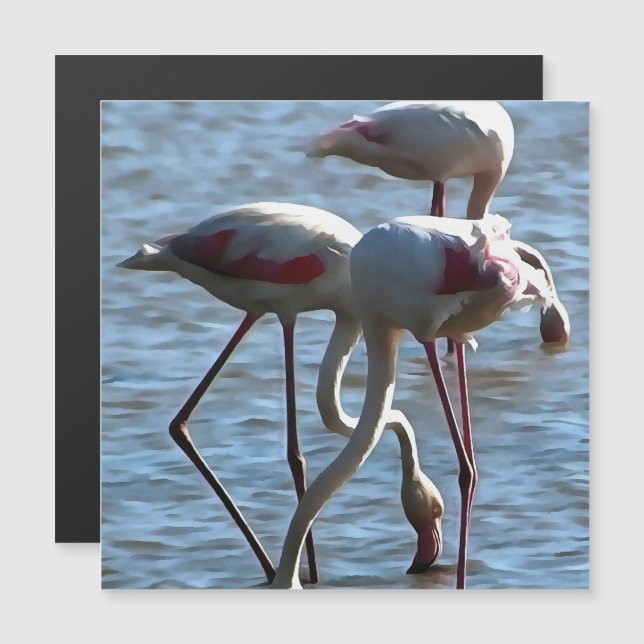Flamingos Fütternd Zeit Akryllische Malerei Magnetkarte (Vorne/Hinten)