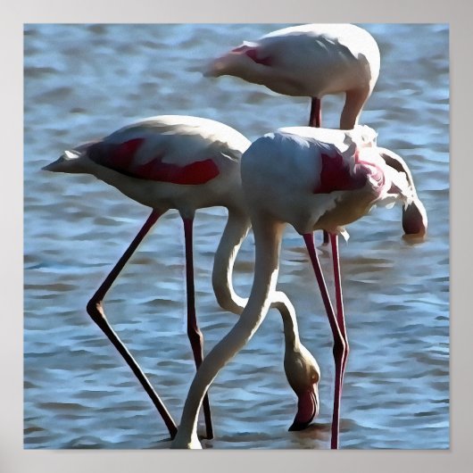 Flamingos Fütternd Zeit Akryllische Malerei Poster (Vorne)