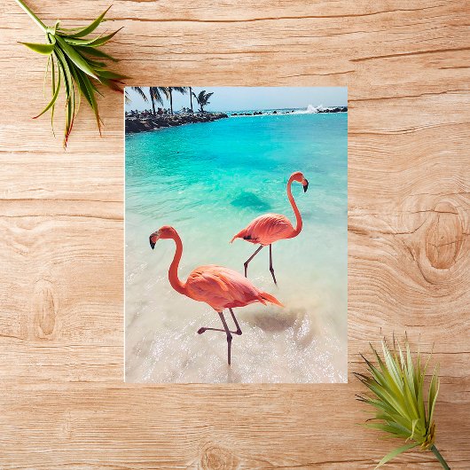 Flamingos Greeting Card Karte