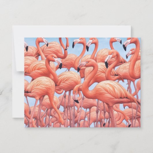 Flamingos, Grußkarte (Vorderseite)
