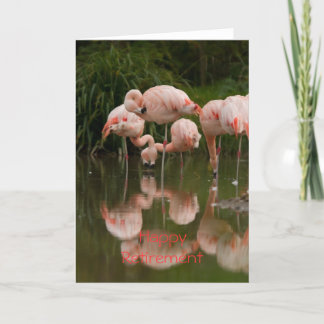 Flamingos Happy Pensioncard Karte