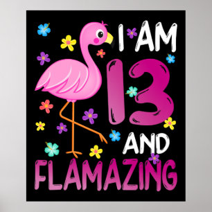 Flamingos  Ich bin 13. Phantastischer 13. Geburtst Poster