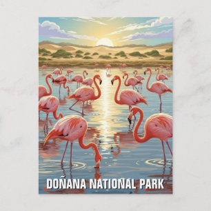 Flamingos im Nationalpark Donana Reise Postkarte