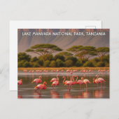 Flamingos im Tansania Lake Manyara Nationalpark Postkarte (Vorne/Hinten)