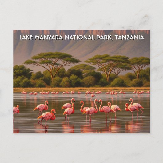 Flamingos im Tansania Lake Manyara Nationalpark Postkarte (Vorderseite)