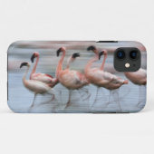 Flamingos in Bewegung, Phoenicopterus Case-Mate iPhone Hülle (Rückseite (Horizontal))