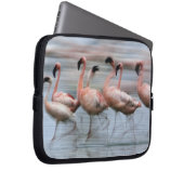 Flamingos in Bewegung, Phoenicopterus Laptopschutzhülle (Vorne Rechts)