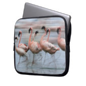 Flamingos in Bewegung, Phoenicopterus Laptopschutzhülle (Vorderseite Links)