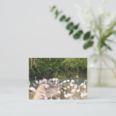 Flamingos in der Freizeit Begleitkarte (Stehend Vorderseite)
