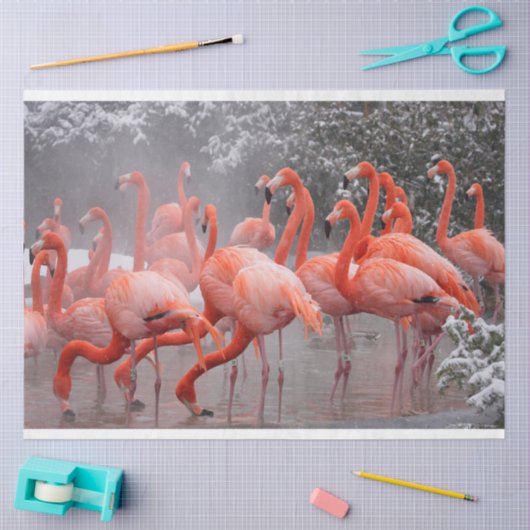 Flamingos in der Schneegenetze Seidenpapier (Basteln)